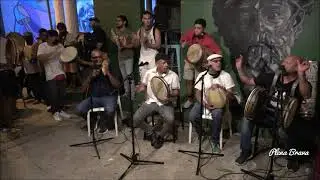 #LaPlena Mi pollo - Hector Tito Matos