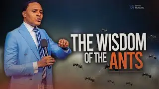 Lessons from the Ants: Wisdom for Your Daily Walk | Pastor Obinna V. Michael