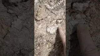 Bu G&ouml;r&uuml;nt&uuml; Normal Değil&hellip; #altın #crystals #define #shorts