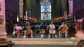 Maja Bugge cello teacher