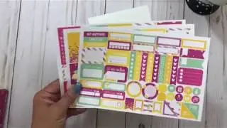 July Planner Envy Subscription Box and chit chat