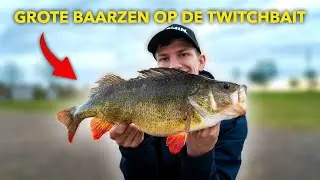 Vissen op GROTE baars met twitchbaits in de winter!!