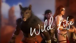 Wild Life - Build Releasem 01.07.2022 / #wildlife