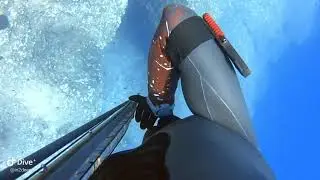 in2deep - Almost ambush a Dentex. - Cyprus Spearfishing
