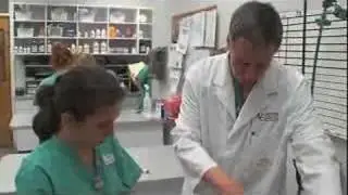 Second Chance Animal Hospital Rescue AVS