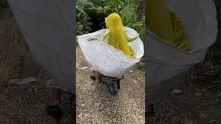 Невеста всё ещё ждёт.