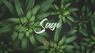 'Sage' Melodic Chill Trap Beat (Prod. Mors)