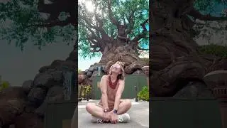 When you just need a moment with the tree of life #disneyreel #disney #waltdisneyworld #disneyparks