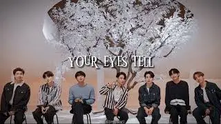 your eyes tell 'bts' (speed up)