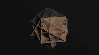 Obama 5 Compound Cube Pentagonal Dodecahedron