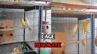 Bird Cage Decoration Ideas | Make Your Birds Happy & Stylish 🐦✨