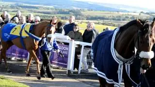 [HD] Hexham Races Parade Ring (Free-to-use clip)
