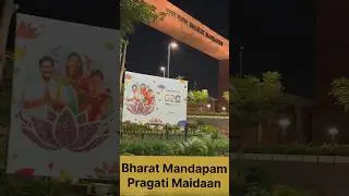 G20 Beautification of Delhi #g20 #g20summit2023 #youtubeshorts #ytshorts #india #proud #shortvideo