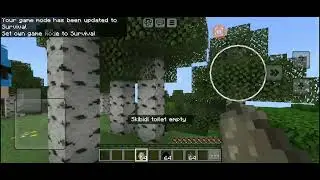 Skibidi Wawa Toilet: Let In Me Institute For This Times Of Minecraft World