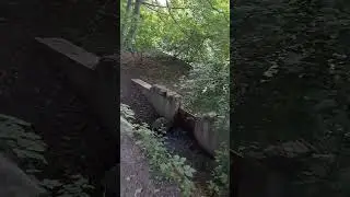 6am walk through Dufferin Islands with Bear, Sun Jun 18 2023, Father's Day
