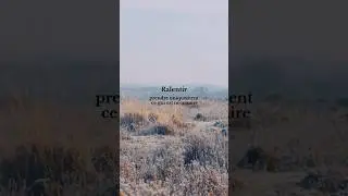Ralentir avec la nature ❄️ | Se recentrer pour retrouver son &eacute;lan