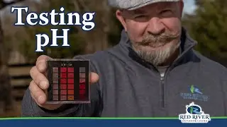 Testing PH Levels in your Pool