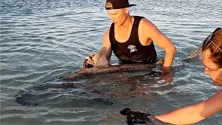 60 DAYS IN THE WILDERNESS EP 15 - FINDING FUN ON LAYDAYZ  | Underwater fishing | Shark fishing