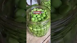Canning fresh peas!!!