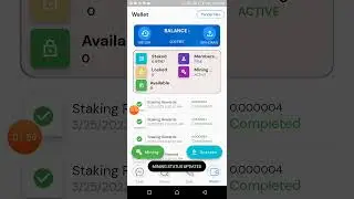 YADDA ZAKA YI MINING NA PUNK PANDA KASAMU KUDI SOSAI