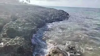 The sound of the ocean, waves and gentle music for recovery! 