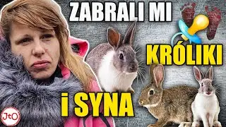 ANIELA - ZABRALI mi KRÓLIKI i SYNA
