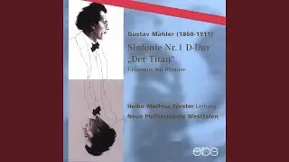 Symphony No. 1 in D Major, GMW 11 