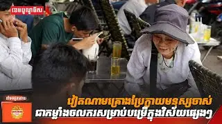 វៀតណាមគ្រោងប្រែក្លាយមនុស្សចាស់ជាកម្លាំងចលករសម្រាប់បម្រើក្នុងវិស័យផ្សេងៗ