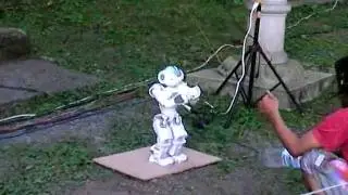 NAO Robot Dances with Audience at Outdoor Trance Music Festival Autonomously