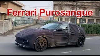 SUV Ferrari PUROSANGUE V12 Testing in Maranello with ultimate body