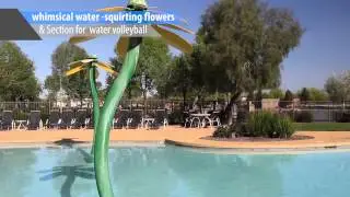 Power Ranch, Gilbert Arizona | Jed Gray
