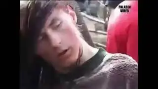 Древо на руїнах. 2003 рік.  В часи коли Фрібург Бер не існувало люди билися так і були щасливі ⚔️🛡