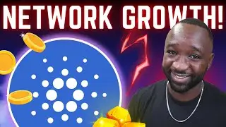 Cardano Network Strengthens Ahead of KEY Upgrade! Ecosystem Update & News