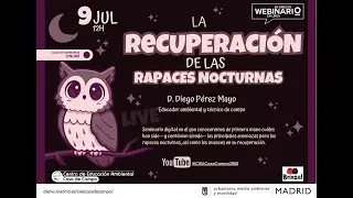 Webinario: La recuperación de las rapaces nocturnas