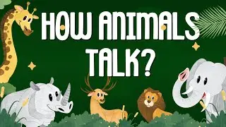 How Do Animals Communicate? Fascinating Ways Animals Talk Without Words!