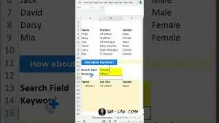 How To FILTER Data FAST and Effectively?