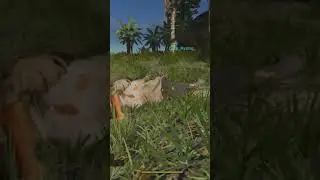 Stranded Deep: These animals don't mess around  😅
