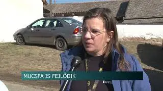 Mucsfai tervek - a telep&uuml;l&eacute;s polg&aacute;rmestere mondta el az elk&eacute;pzel&eacute;seket