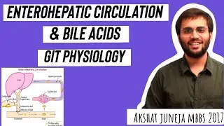 Enterohepatic Circulation | GIT Physiology Bile Acid, Bile Salts |  MBBS 1st Year | NEET PG