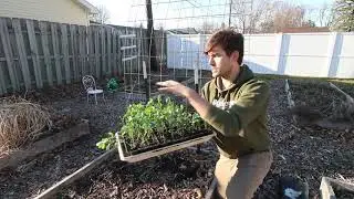 Planting Out The First Plants of This Year&rsquo;s Garden