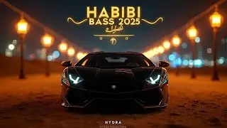 Habibi Energy Mix | Dubai EDM 2025 | Deep Bass 4K