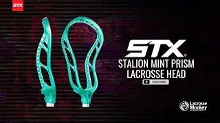  STX Stallion Prism Lacrosse Head Review