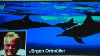 Delfinhaltung verbieten - WDR 2 Interview mit J&uuml;rgen Ortm&uuml;ller, Wal- und Delfinschutz-Forum (WDSF)