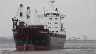 FLORIJNGRACHT | Weser h&ouml;he Brake Unterweser