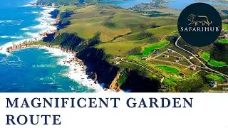 Magnificent Garden Route Tour | Last Minute Safari | South Africa Tour | Safarihub