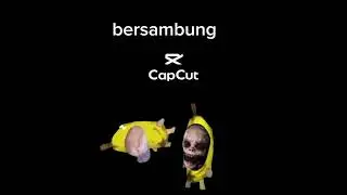 meme kuncing horror