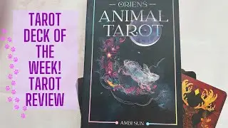GREAT DECK FOR READING THE SUBCONSCIOUS MIND! Orien's Animal Tarot, Deck of the Week! #tarotdecks