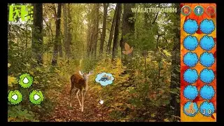 Magical Autumn Forest Adventure Walkthrough [EscapeFan]