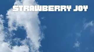 Strawberry Joy - ZebraTail