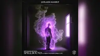 Dirty Palm & Bad Reputation ft. Doja Cat - Spellbound (w/ Need To Know) [JAYRASEK MASHUP]